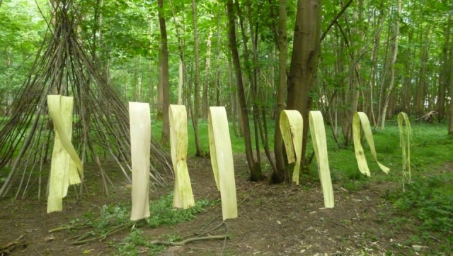  Una de las habilidades que le mostraremos 